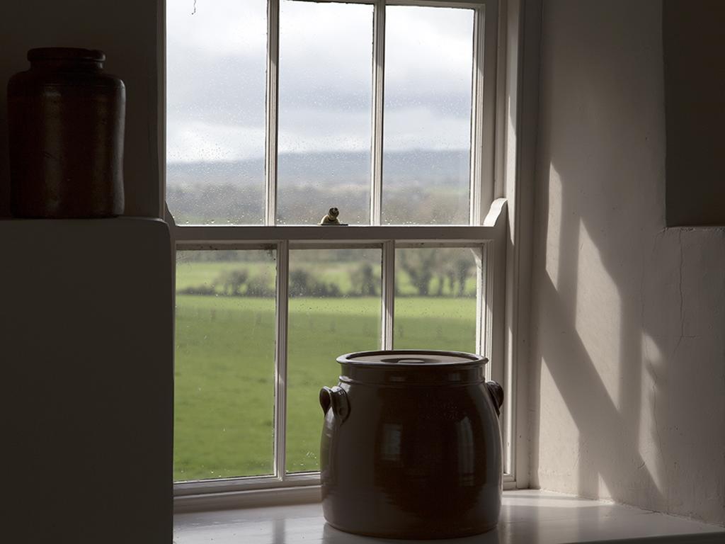 Kilgraney House Vendégház Bagenalstown Kültér fotó